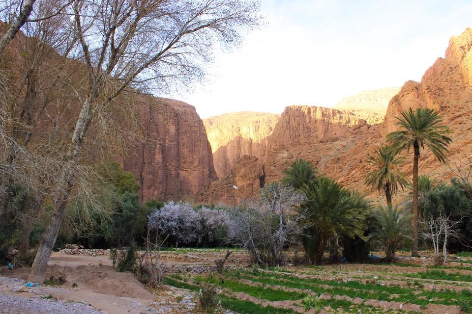 Dar Ayour Todra Gorges Ait Baha Exterior photo
